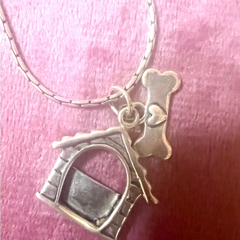 Sterling Silver Doghouse Picture Frame + Bone 20” Necklace